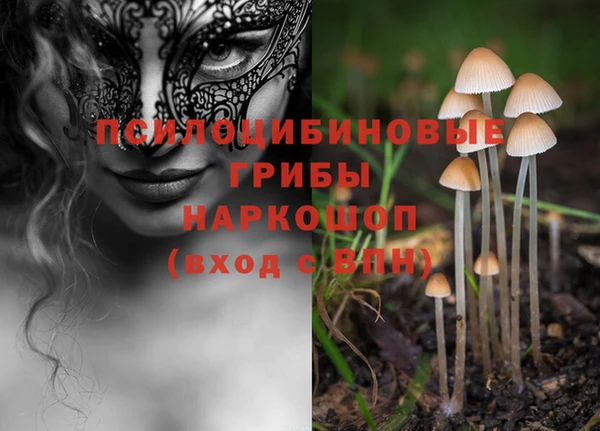 мет Белокуриха